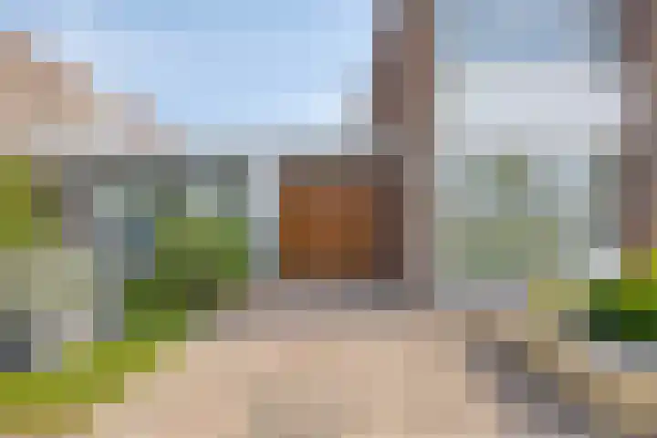 Paardenbloem 5 Zevenbergen thumbnail 39
