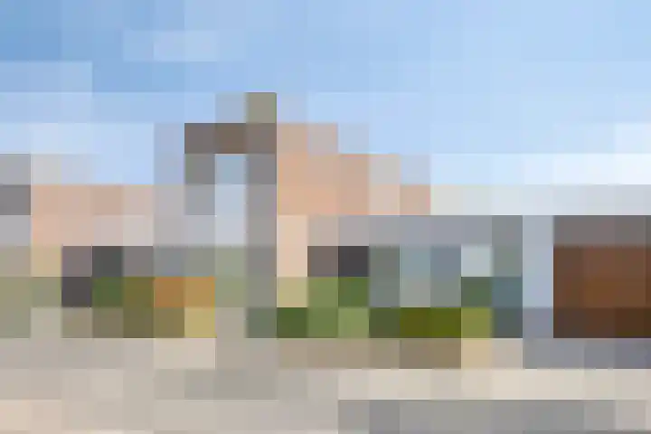 Paardenbloem 5 Zevenbergen thumbnail 40