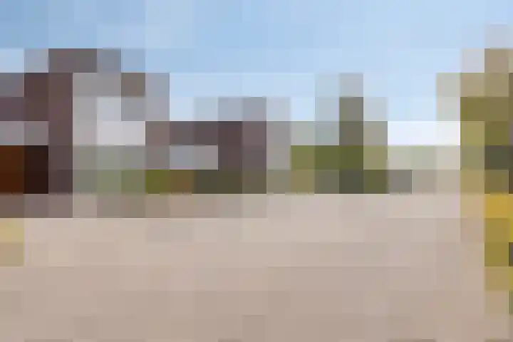 Paardenbloem 5 Zevenbergen thumbnail 41