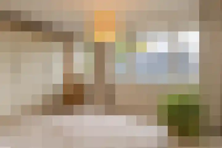 Paardenbloem 6 Ruurlo thumbnail 11
