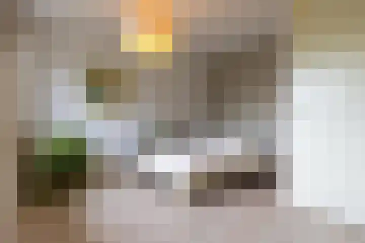 Paardenbloem 6 Ruurlo thumbnail 12