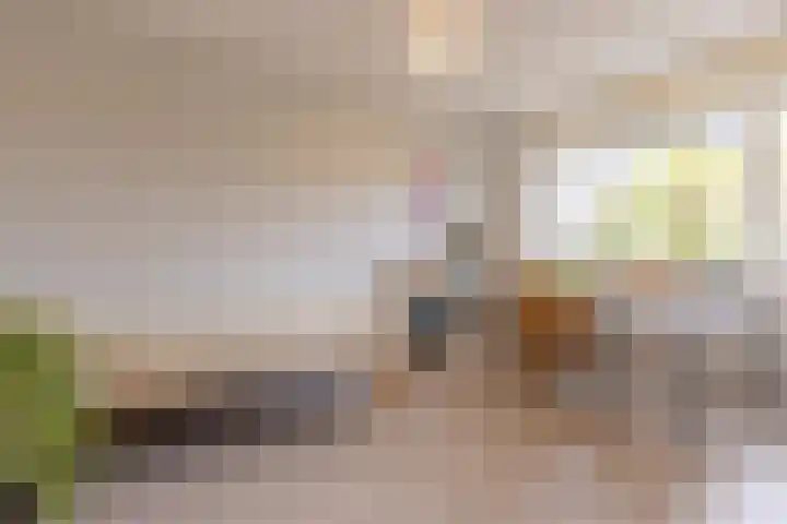 Paardenbloem 6 Ruurlo thumbnail 13