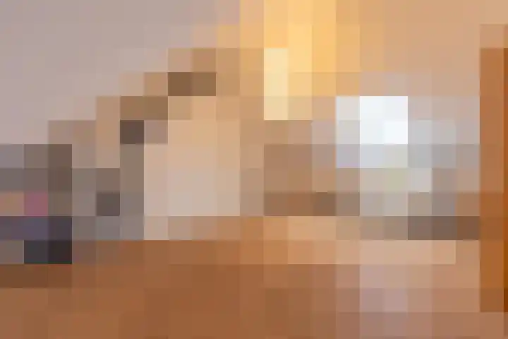 Paardenbloem 6 Ruurlo thumbnail 14