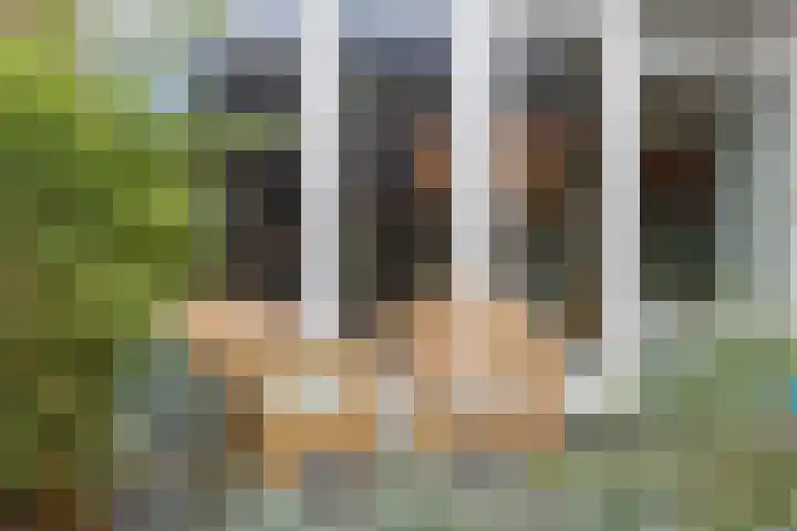 Paardenbloem 6 Ruurlo thumbnail 15
