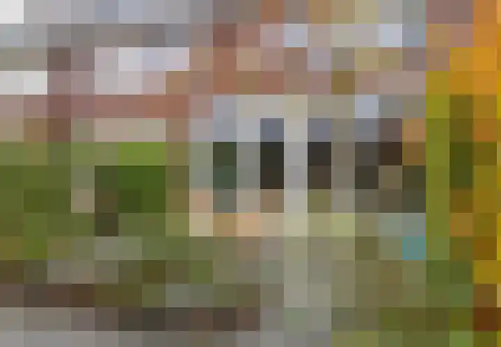 Paardenbloem 6 Ruurlo thumbnail 16