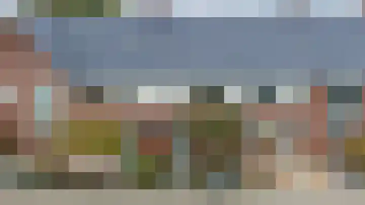 Paardenbloem 6 Ruurlo thumbnail 18