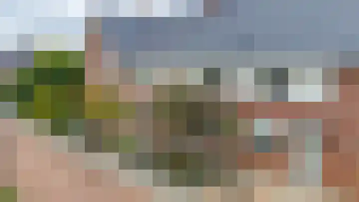 Paardenbloem 6 Ruurlo thumbnail 19