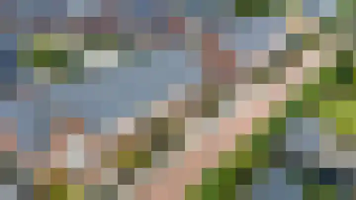 Paardenbloem 6 Ruurlo thumbnail 20