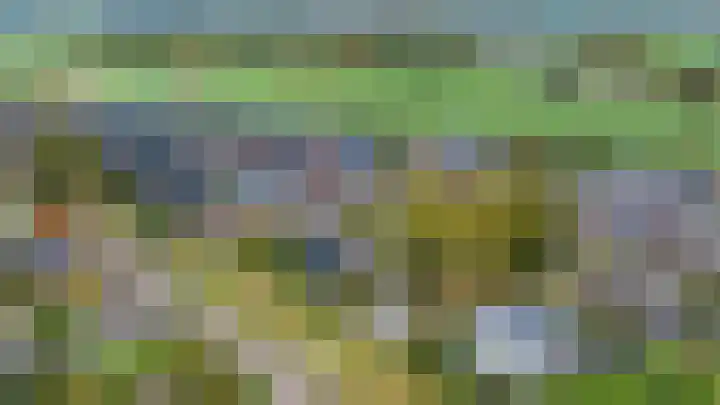 Paardenbloem 6 Ruurlo thumbnail 21