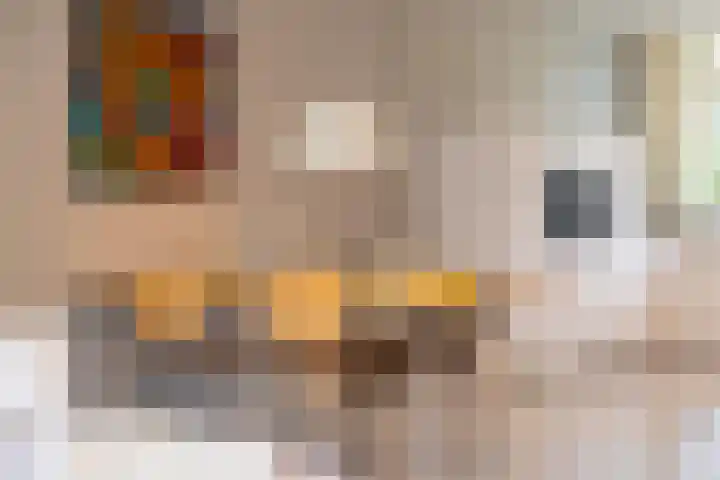 Paardenbloem 6 Ruurlo thumbnail 5