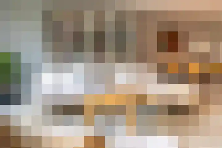 Paardenbloem 6 Ruurlo thumbnail 7