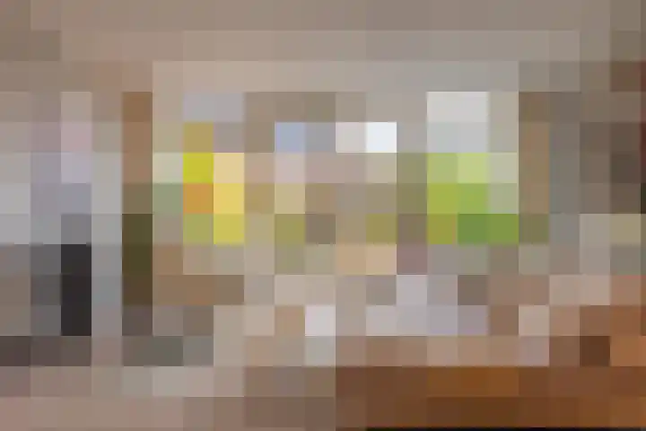Paardenbloem 6 Ruurlo thumbnail 8
