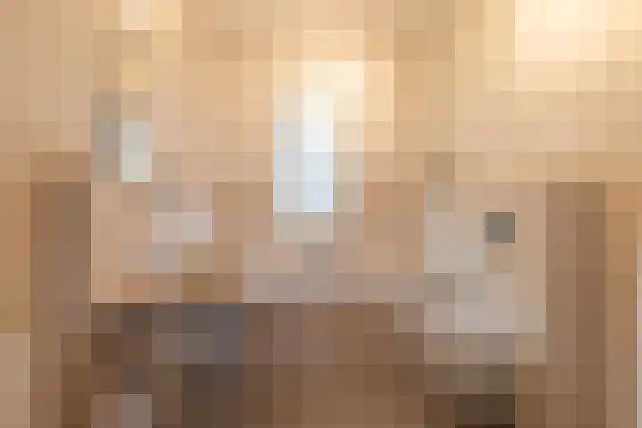 Paardenbloem 6 Ruurlo thumbnail 9
