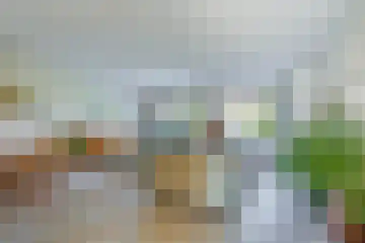 Paardenbloem 62 Driel thumbnail 11
