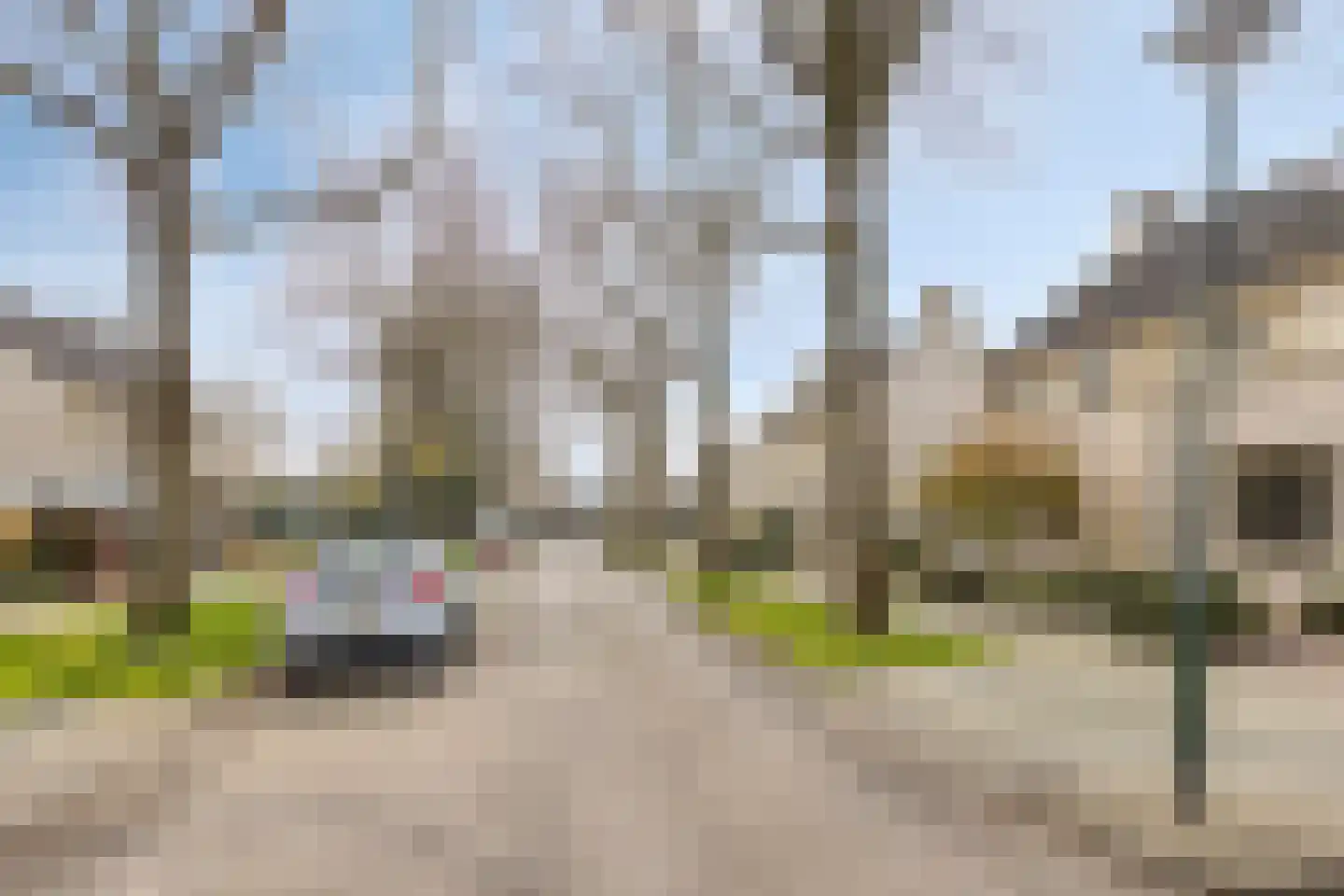 Paardenbloem 62 Driel thumbnail 25