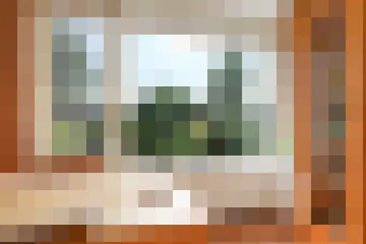 Paardenbloem 62 Driel thumbnail 26