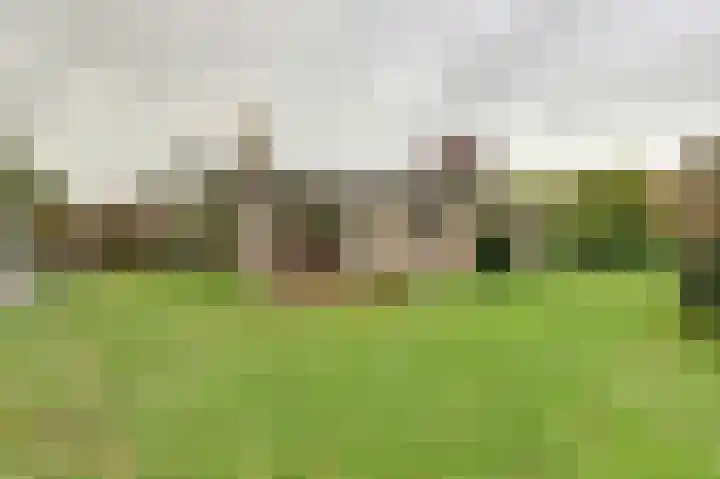 Paardenbloem 62 Driel thumbnail 4