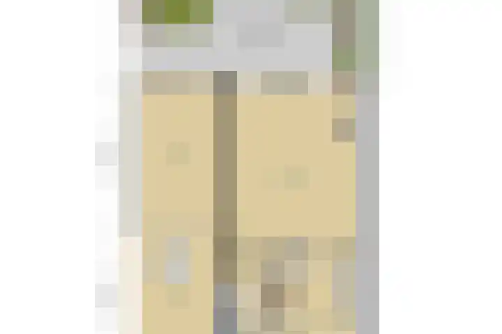 Paardenbloem 62 Driel thumbnail 44