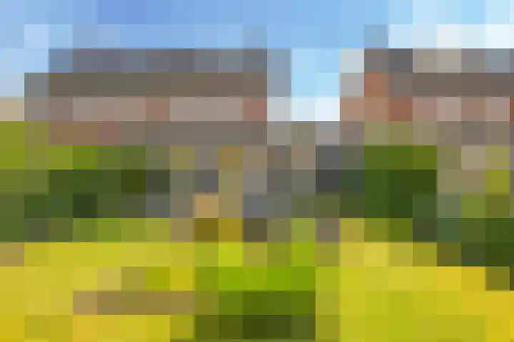 Paardenbloem 62 Driel thumbnail 46