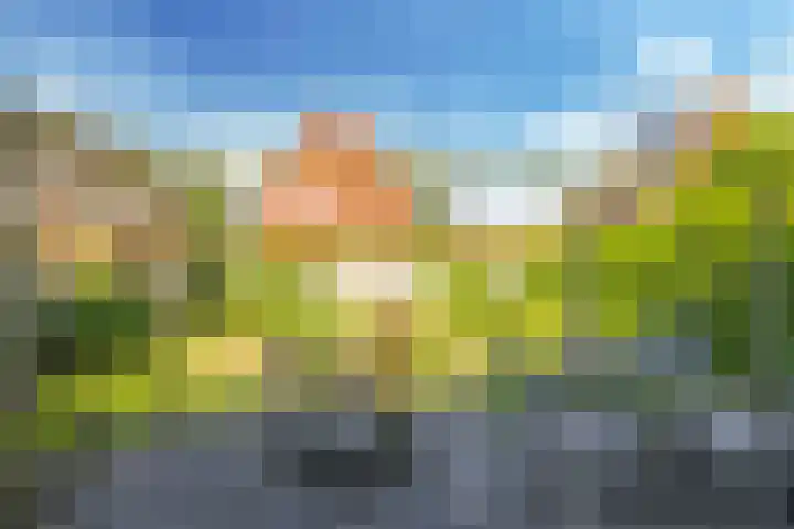 Paardenbloem 62 Driel thumbnail 48