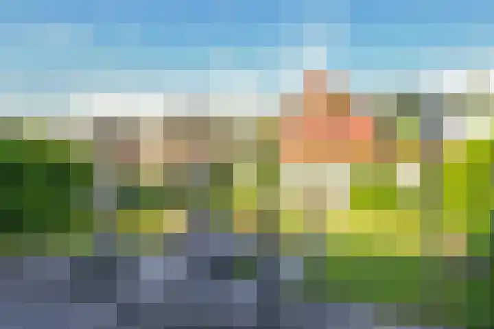 Paardenbloem 62 Driel thumbnail 49