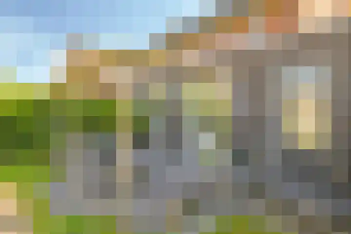 Paardenbloem 62 Driel thumbnail 51