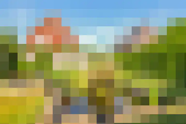 Paardenbloem 62 Driel thumbnail 52