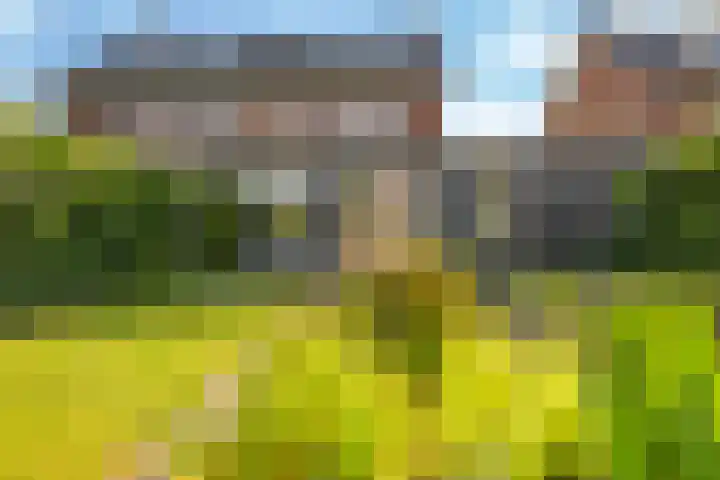 Paardenbloem 62 Driel thumbnail 55