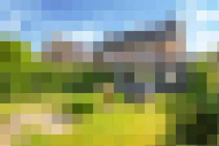 Paardenbloem 62 Driel thumbnail 56