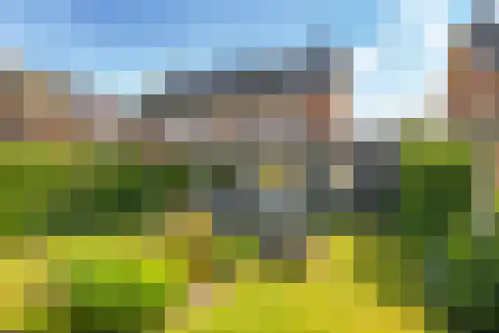 Paardenbloem 62 Driel thumbnail 57