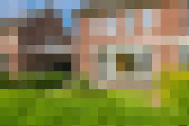 Paardenbloem 62 Driel thumbnail 63
