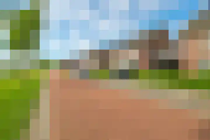 Paardenbloem 62 Driel thumbnail 66