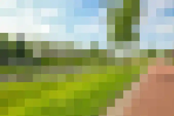Paardenbloem 62 Driel thumbnail 67