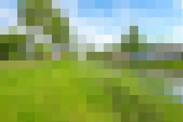 Paardenbloem 62 Driel thumbnail 68