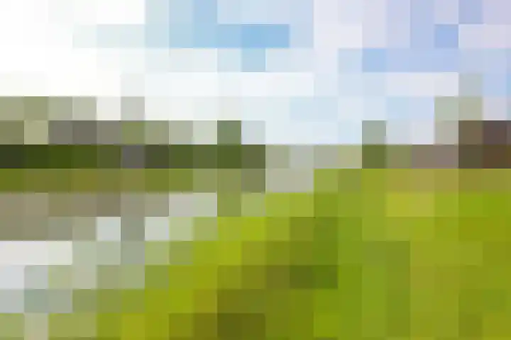 Paardenbloem 62 Driel thumbnail 69