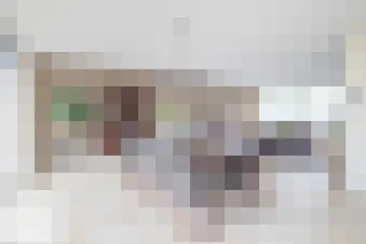 Paardenbloem 7 Zevenbergen thumbnail 17