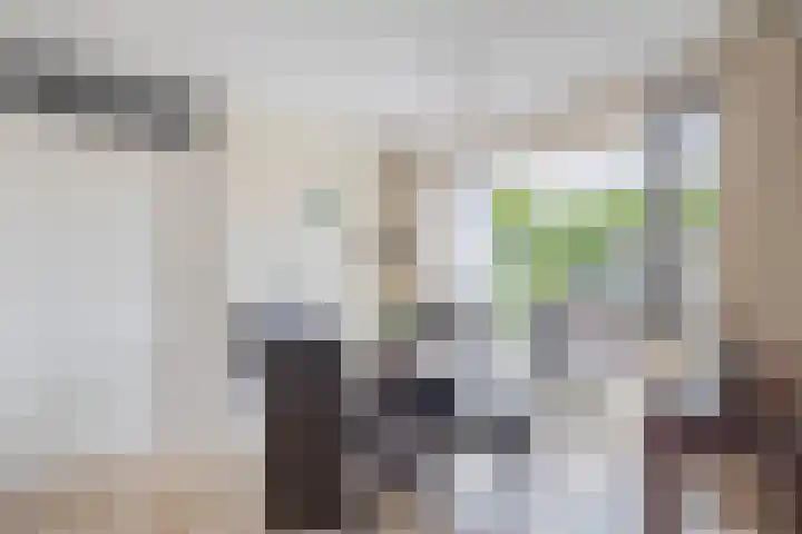 Paardenbloem 7 Zevenbergen thumbnail 18