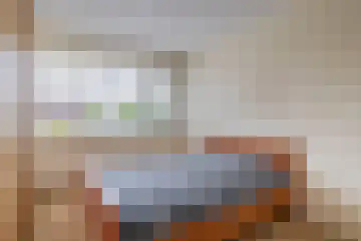Paardenbloem 7 Zevenbergen thumbnail 30