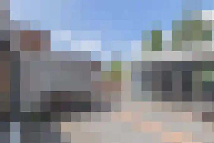 Paardenbloem 7 Zevenbergen thumbnail 36