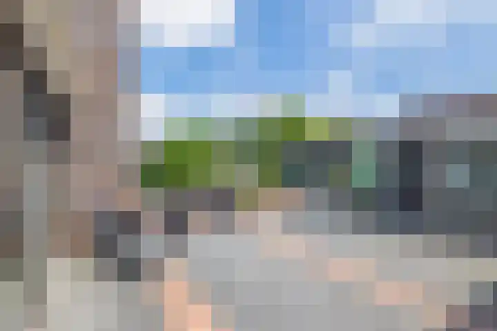 Paardenbloem 7 Zevenbergen thumbnail 37