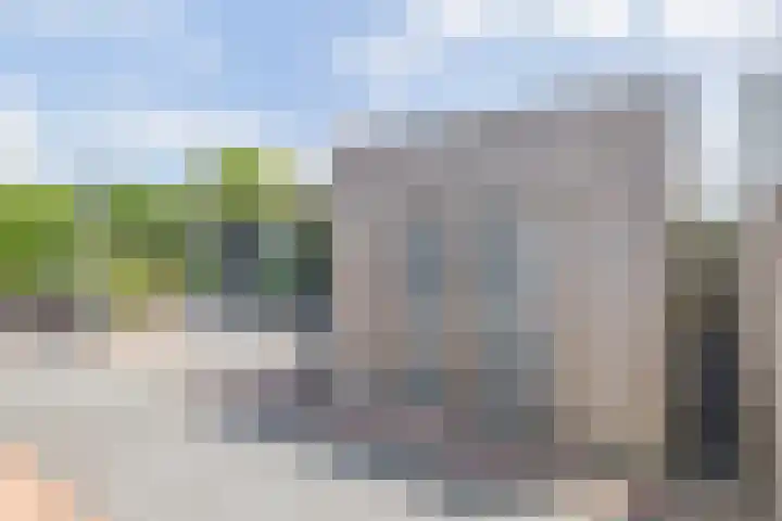 Paardenbloem 7 Zevenbergen thumbnail 38
