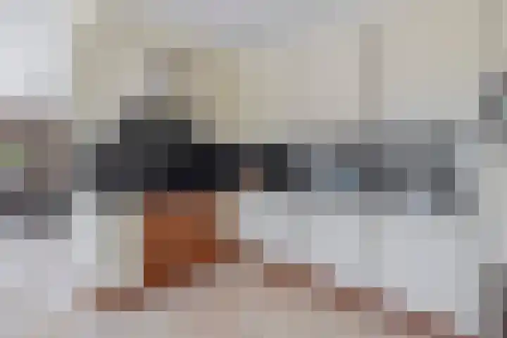 Paardenbloem 7 Zevenbergen thumbnail 4