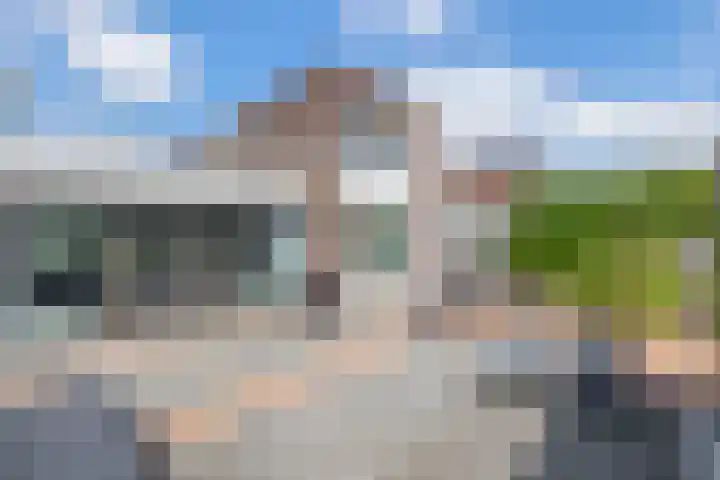 Paardenbloem 7 Zevenbergen thumbnail 40