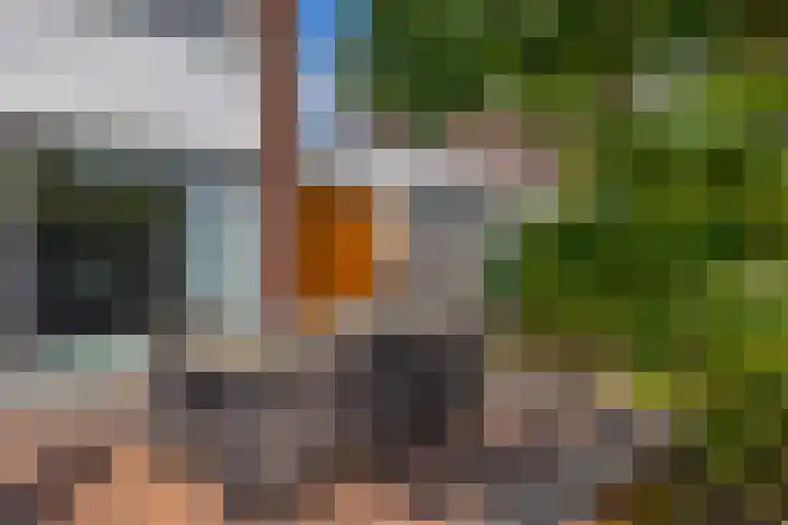 Paardenbloem 7 Zevenbergen thumbnail 41