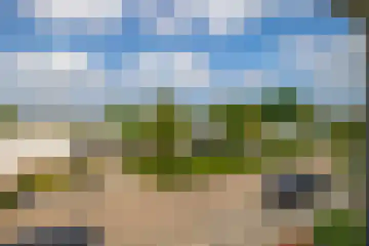 Paardenbloem 7 Zevenbergen thumbnail 42