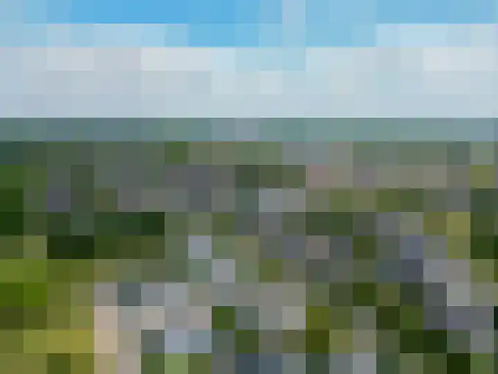 Paardenbloem 7 Zevenbergen thumbnail 46