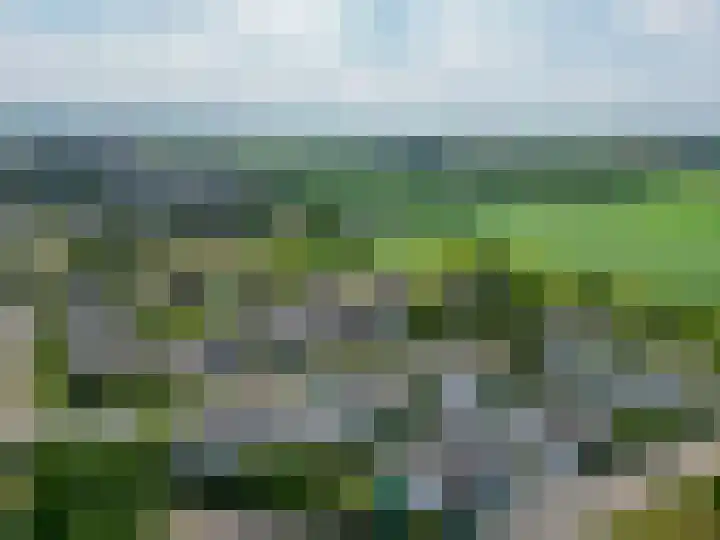 Paardenbloem 7 Zevenbergen thumbnail 47