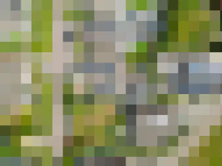 Paardenbloem 7 Zevenbergen thumbnail 48