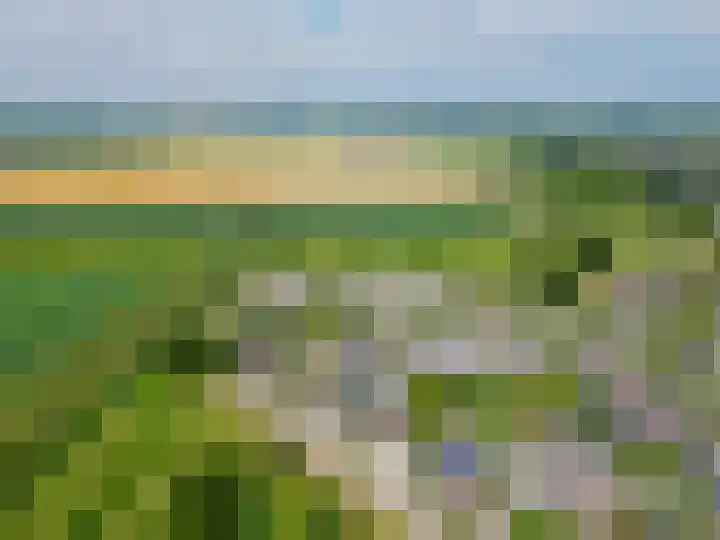 Paardenbloem 7 Zevenbergen thumbnail 49