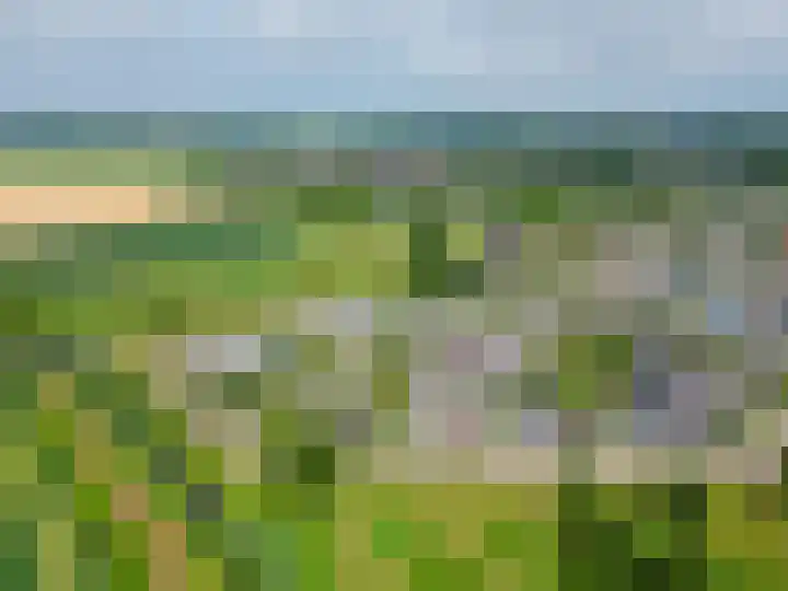 Paardenbloem 7 Zevenbergen thumbnail 50
